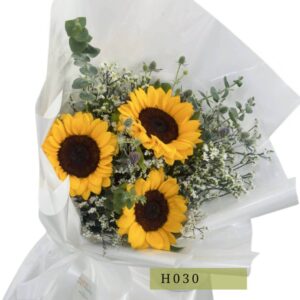 h030
