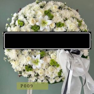 p009