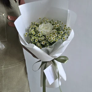 R102 เดซี่ล้อมกูหลาบขาว
