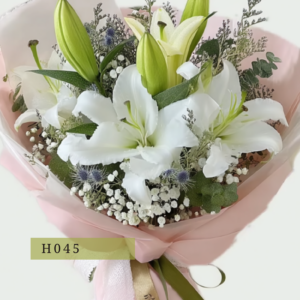 H060