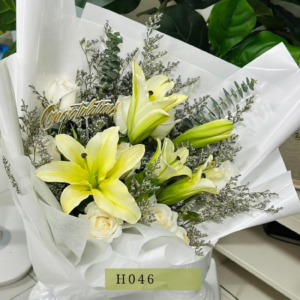 H059